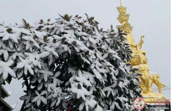 峨眉山下雪了的朋友圈说说 欣赏峨眉山雪景的说说句子