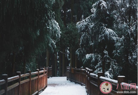 赞美峨眉山雪景的说说文案句子 峨眉山下雪景色的唯美图片说说