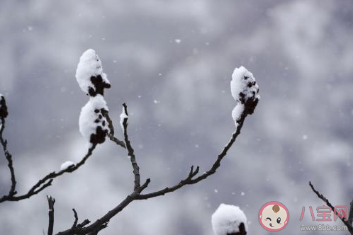 下雪天|适合下雪天发的朋友圈心情文案 下雪了的心情感受说说