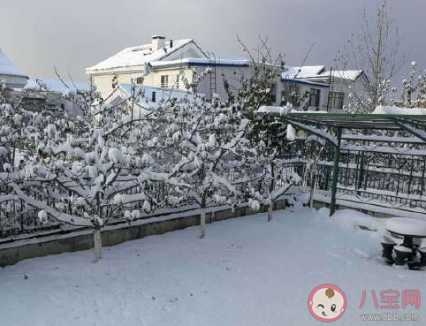 小雪到了|小雪节气到了微信文案说说 小雪朋友圈心情句子