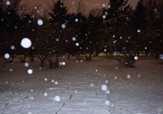 下雪了好美说说 关于下雪了之后的美景的感慨句子