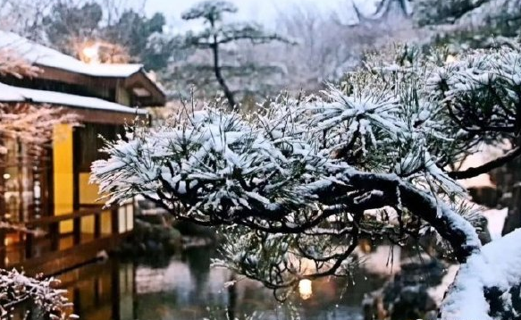 今日小雪朋友圈唯美句子 小雪节气图片壁纸素材