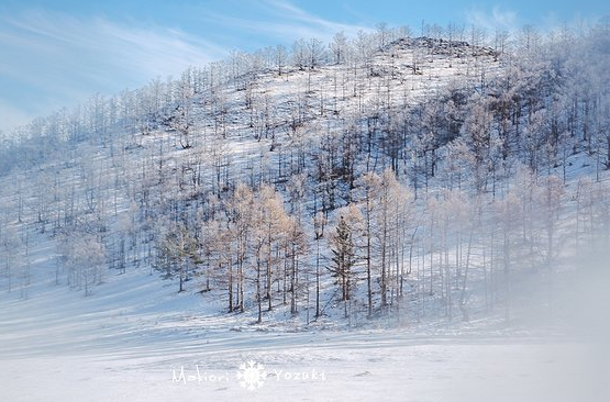 今日小雪朋友圈唯美句子 小雪节气图片壁纸素材