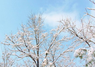 小雪节气到文案一句话配图说说 小雪微信朋友圈发的说说