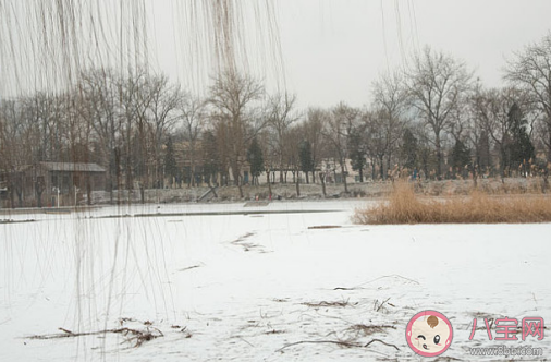 今日小雪|今日小雪早安心语 今日小雪朋友圈说说