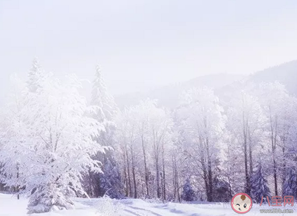 小雪节气|2019关于小雪节气的唯美句子 小雪优美朋友圈心情说说