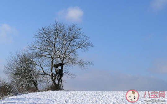 今日小雪的朋友圈文案怎么写 小雪节气朋友圈文案句子图片大全