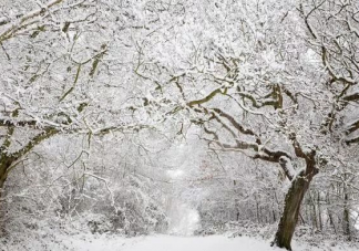 2019下雪了适合下雪天发的唯美说说 下雪了真好心情短语