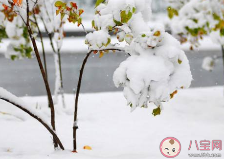 大雪节气|适合大雪节气发的朋友圈文案句子 2019大雪到了朋友圈心情说说