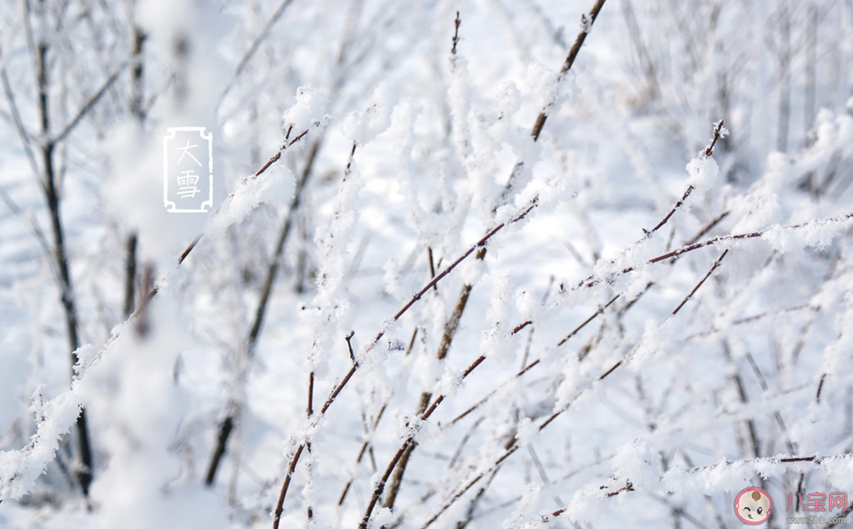 大雪到了|2019大雪到了朋友圈图片说说 大雪节气心情说说图片高清壁纸