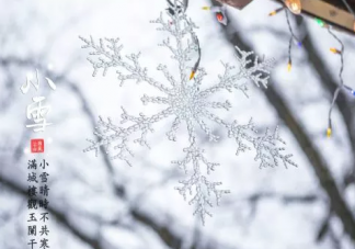 今日小雪的诗有哪些 今日小雪古诗短句大全