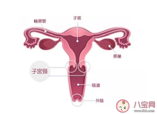 宫颈糜烂到底要不要手术  宫颈糜烂的症状有哪些