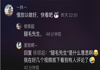 腿毛先生是什么意思 腿毛先生梗的出处是什么