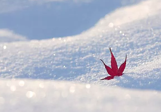 下雪了怎么发朋友圈 下雪天发朋友圈的句子