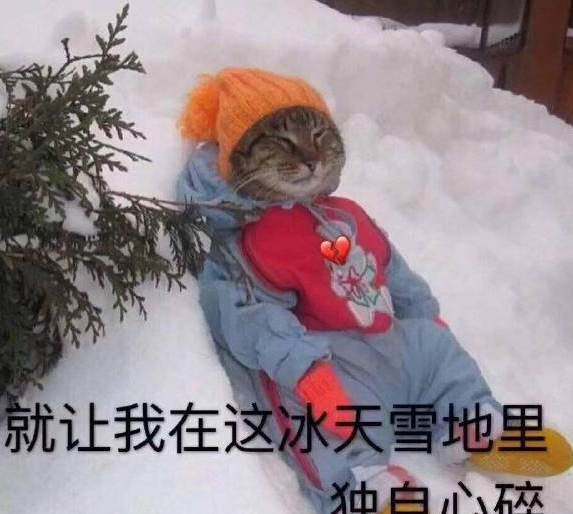 2019大雪节气早安文案大全 大雪到了早安心语发朋友圈