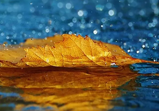 早上下雨的心情说说 朋友圈下雨的心情句子