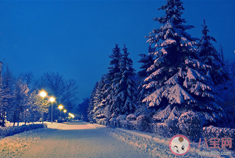 大雪节气|大雪节气早安心语唯美文案 大雪节气早安一句话心情句子