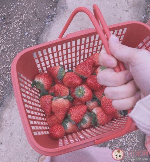 带娃去摘草莓的心情感慨 和孩子一起摘草莓的说说句子