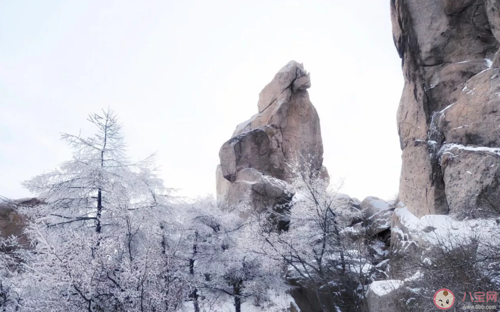 下雪了|山上下雪了心情说说 2019下雪的优美句子说说