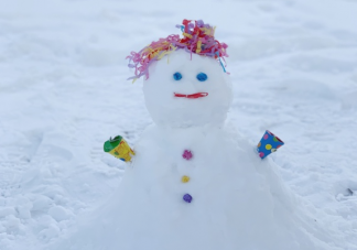 下大雪了带图唯美说说 突降大雪的心情感言句子