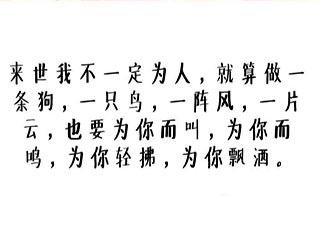 来生我不一定能为人哪怕做一条狗做一只鸟是什么意思 来生我不一定能为人哪怕做一条狗的出处是什么