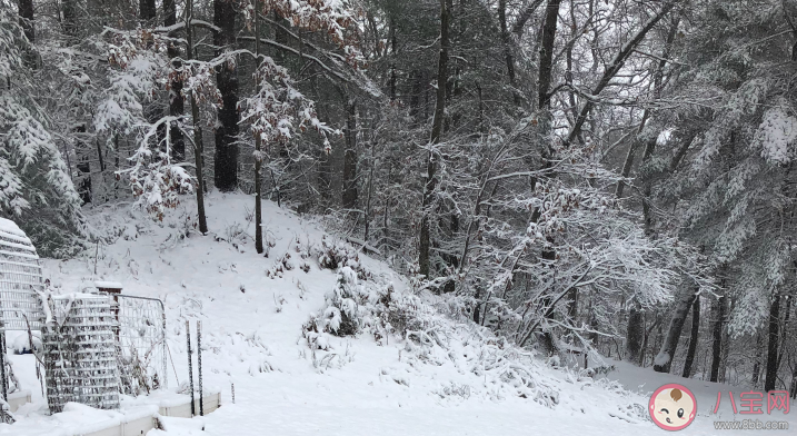 下雪|来一场大雪说说句子 关于来一场大雪发什么说说朋友圈