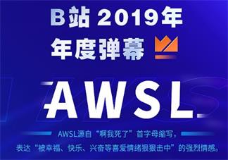 2019年度弹幕有哪些 2019年度弹幕整合