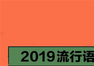 2019热门流行语有哪些 2019流行语梗盘点