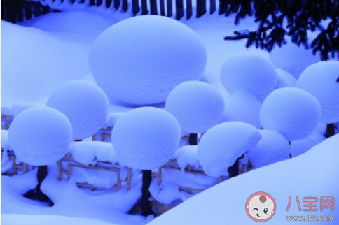 雪乡旅行之后的朋友圈心情感受句子 雪乡旅行之后的真实感受句子大全