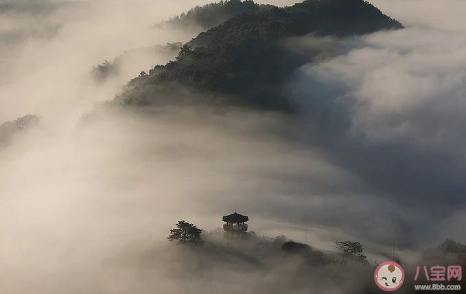 雾大|雾大的说说发朋友圈 形容雾大的搞笑朋友圈说说