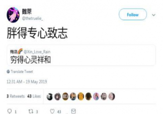 胖得专心致志下一句是什么 胖得专心致志什么意思