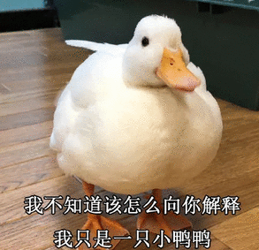 duck不必表情包图片duck不必表情包原图