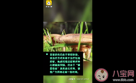 神奇蘑菇可缓解抑郁症怎么回事 神奇蘑菇是什么