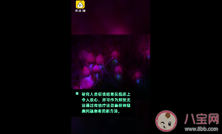 神奇蘑菇可缓解抑郁症怎么回事 神奇蘑菇是什么