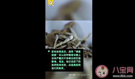 神奇蘑菇可缓解抑郁症怎么回事 神奇蘑菇是什么