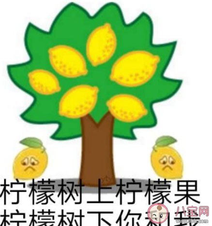 土豪公司春节放假19天是真的吗 春节假期怎么过