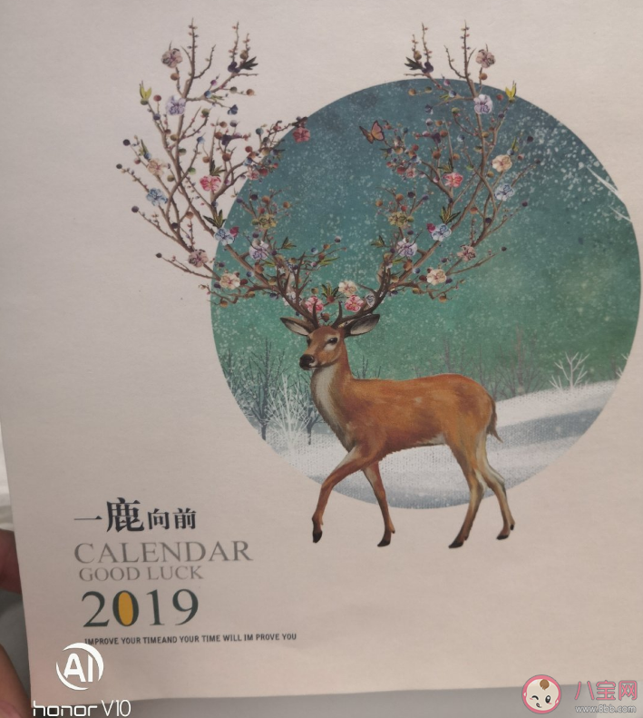 2019这一年|2019这一年的收获心路历程 感叹2019这一年的句子说说