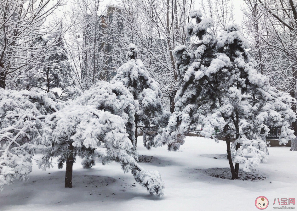 下雪|冬天和孩子们玩雪的说说心情 关于和孩子玩雪的说说朋友圈