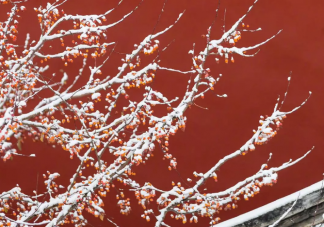 为啥总在故宫闭馆前夜下雪 北京故宫开放时间时间几点到几点