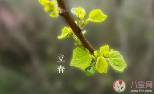 立春节气|关于立春的古诗有哪些立春节气的古诗词大全