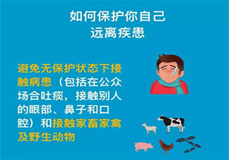 新型冠状病毒的传播途径及症状是什么 新型冠状病毒的防控措施介绍