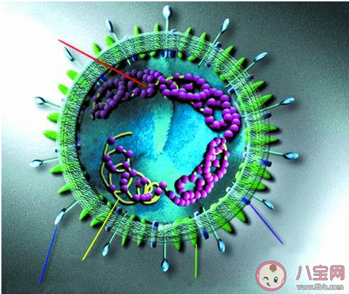 新型冠状病毒|新型冠状病毒有特效药治疗吗 新型冠状病毒目前是如何治疗的