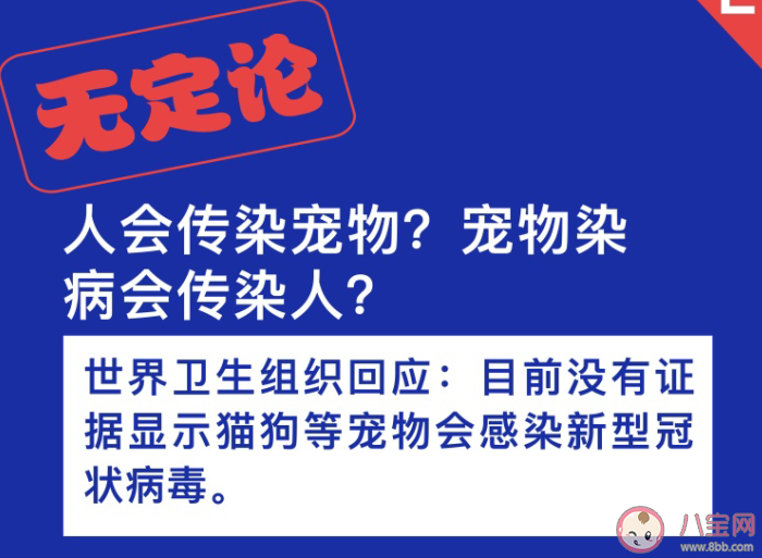 宠物会感染新型肺炎吗 家里有宠物会不会感染新型肺炎 新型肺炎有宠物家庭怎么做