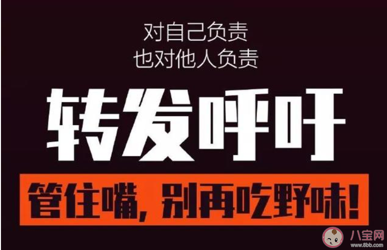 拒绝食用|2020拒绝食用野生动物倡议书 拒绝食用野生动物倡议书范文