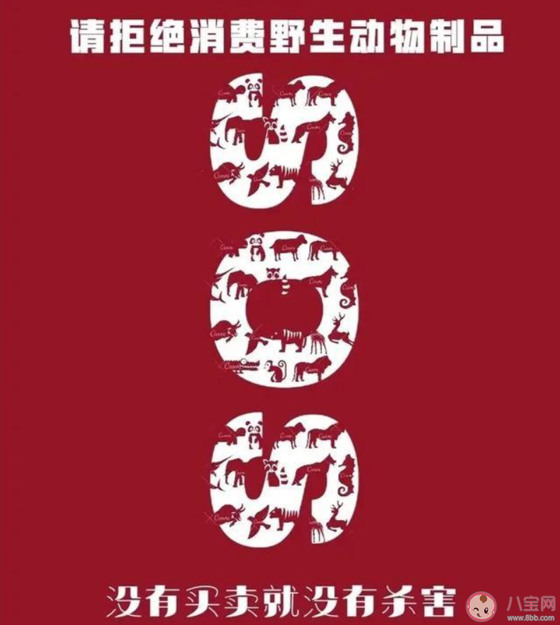 拒食野生动物|2020拒食野生动物倡议书模板 保护野生动物倡议书模板内容