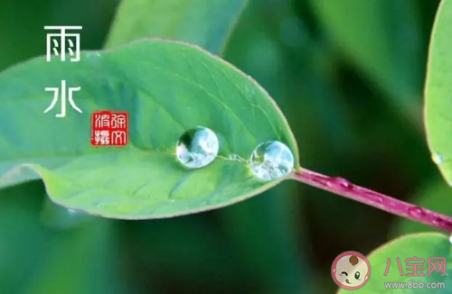 雨水|雨水节气的风俗是什么 雨水节气有什么含义2020