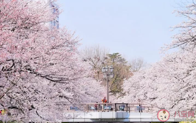 山川异域风月同天|山川异域风月同天是什么意思 山川异域风月同天的出处