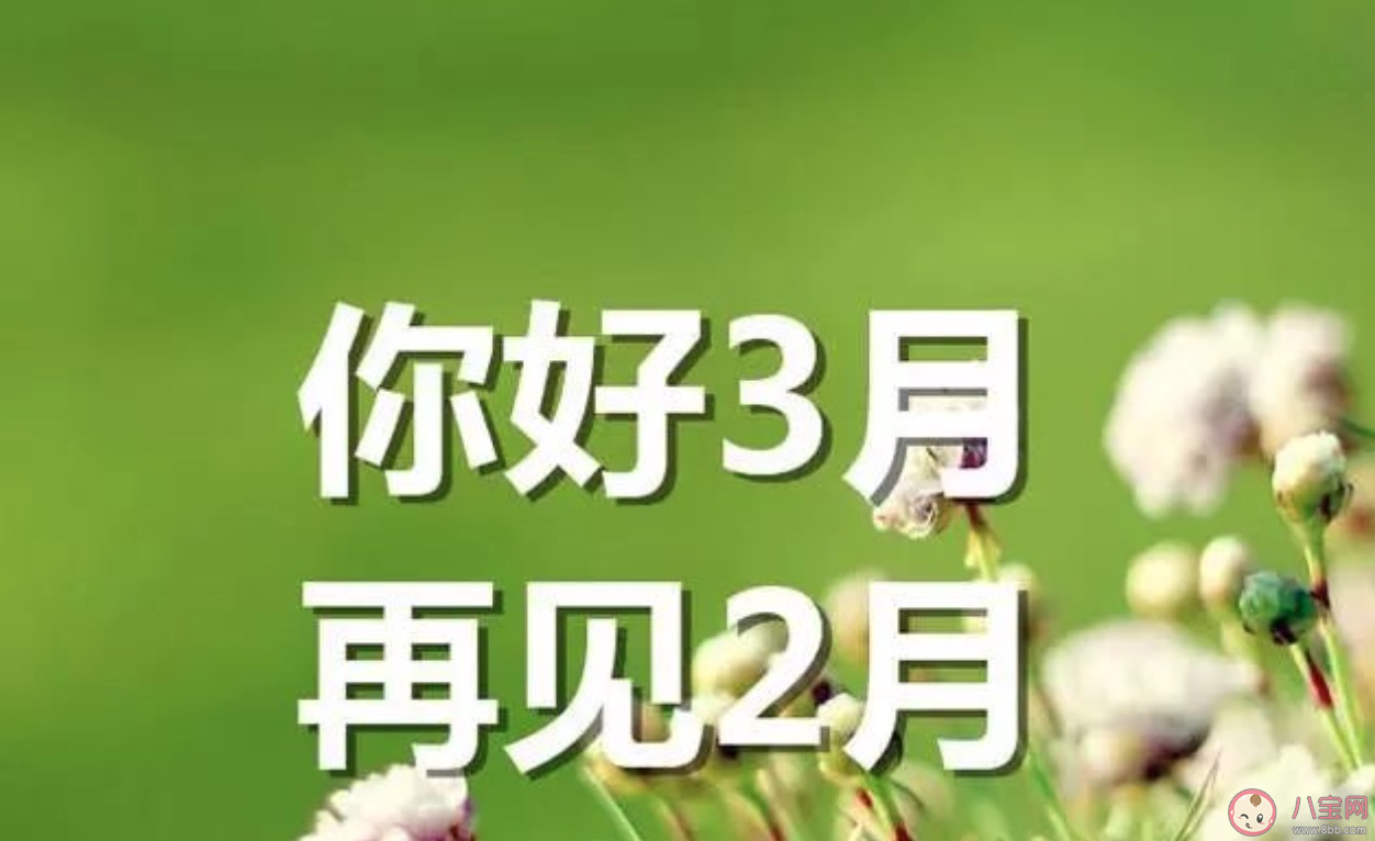 2020二月再见三月你好朋友圈说说迎接三月唯美句子大全