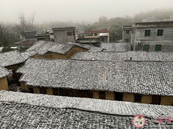 下雪天会冻死病毒吗 雪中会不会有病毒