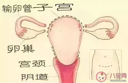 切除子宫对性生活有影响吗 没有子宫对性生活有没有影响